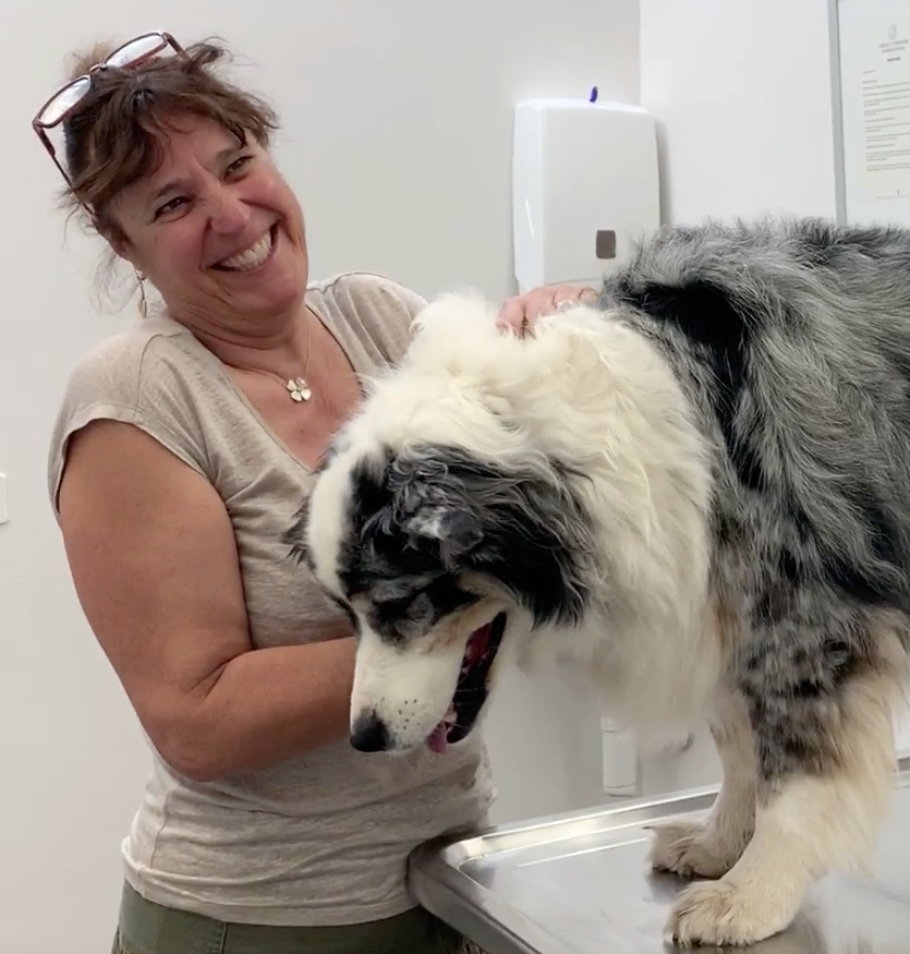 SOS Vétérinaire Genève, Urgences Vétérinaire Genève,Vétérinaire Genève, Vétérinaire de Garde Genève, Veterinaire de Garde Geneve, vétérinaire Versoix,  vétérinaire Rolle, vétérinaire Commugny, Vétérinaire urgence Nyon, vétérinaire crans près Céligny, vétérinaire Mies, Vétérinaire Nyon, vétérinaire Gland, vétérinaire Coppet, Vétérinaire de Garde Genève , Veterinaire de Garde Geneve, Vétérinaire de Garde Nyon, Vétérinaire de Garde Vaud, Vétérinaire de Garde Gland, Vétérinaire de Garde Morges, Animal Hospital Geneva, Geneva Animal Hospital, Difficulté à Uriner, Vétérinaire de Garde Lausanne ,apathie ou faiblesse chiens et chats