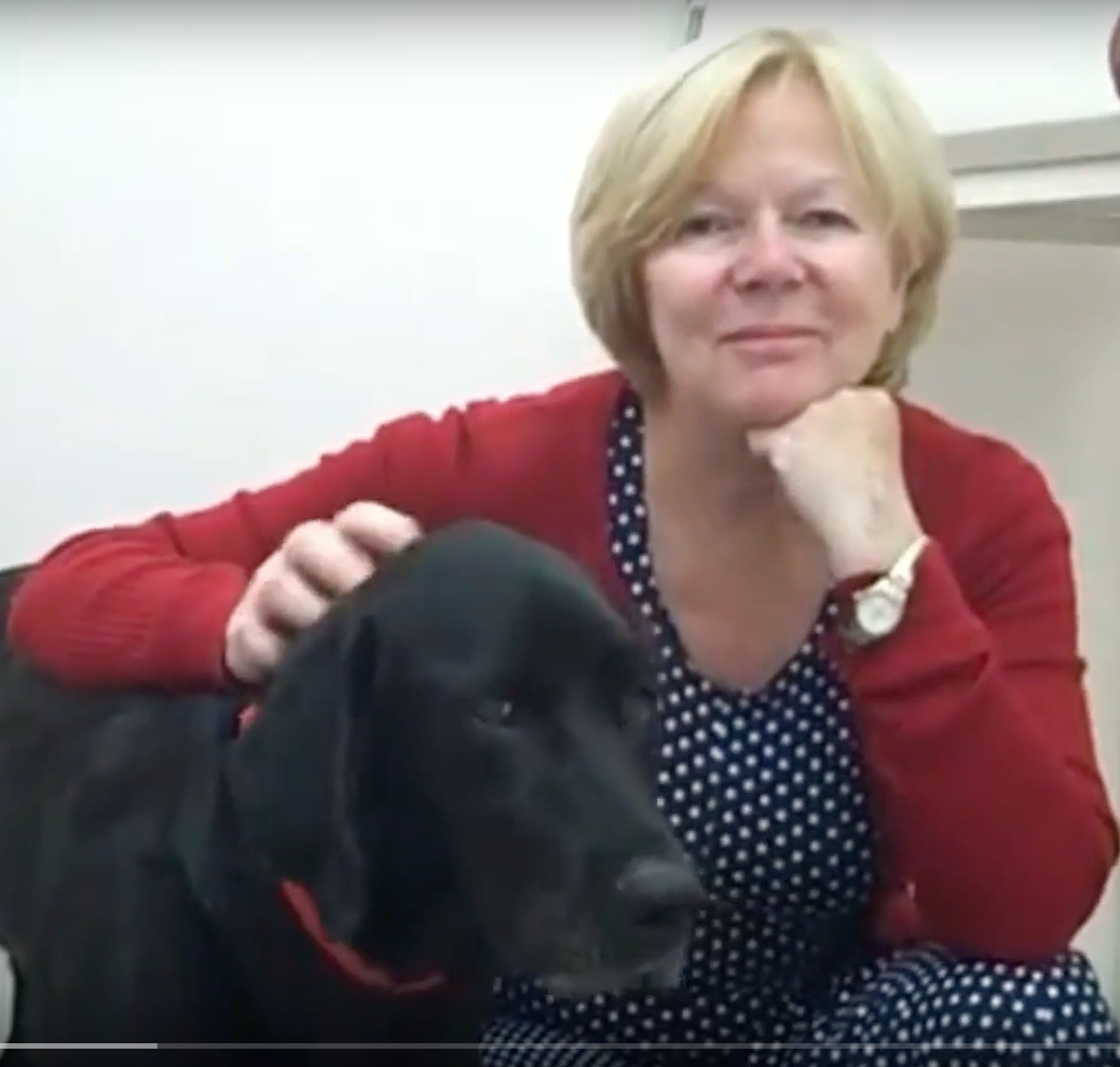  vétérinaire Mies, vétérinaire Genève, vétérinaire Nyon, vétérinaire Versoix, vétérinaire Commugny