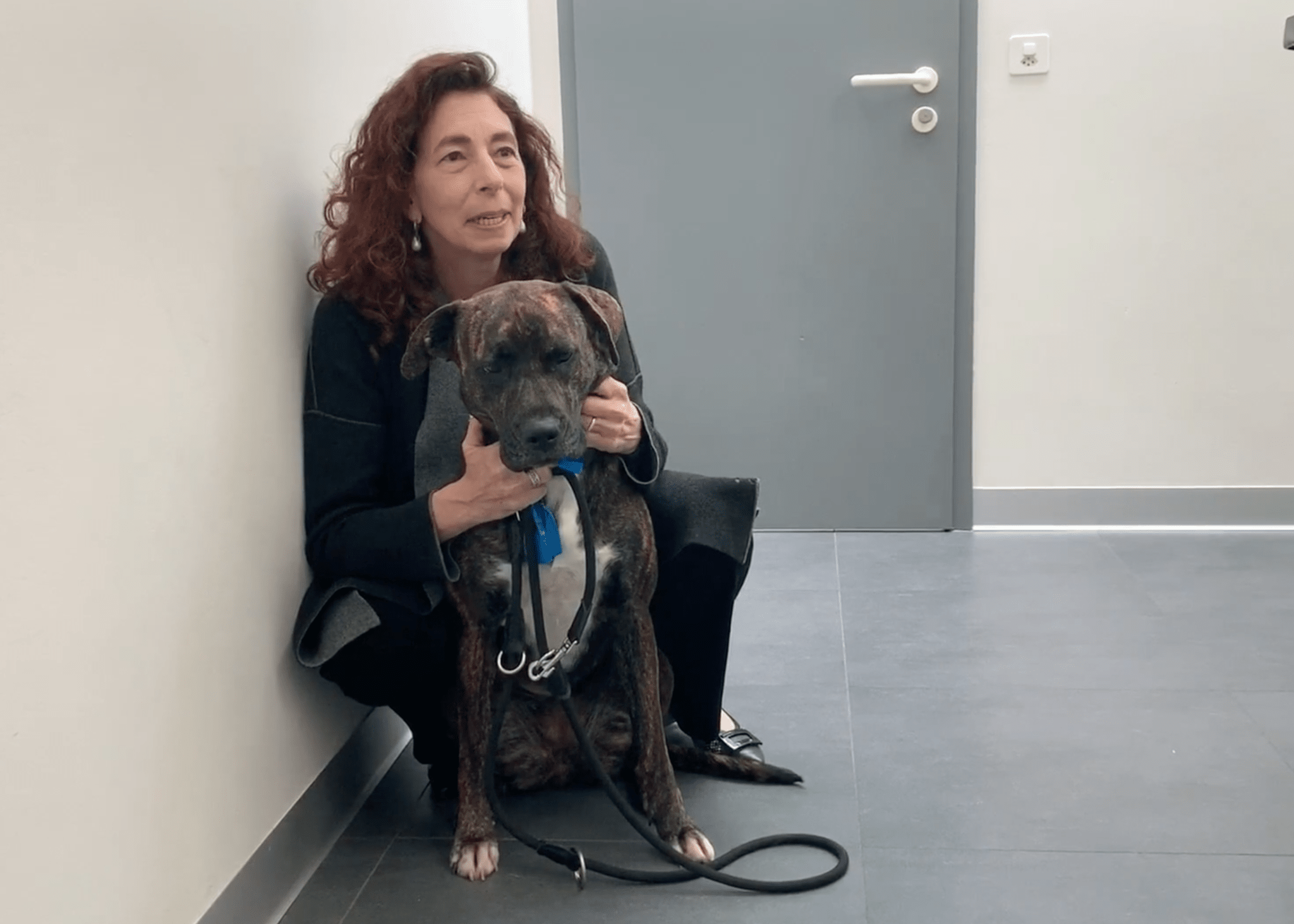  vétérinaire Mies, vétérinaire Genève, vétérinaire Nyon, vétérinaire Versoix, vétérinaire Commugny