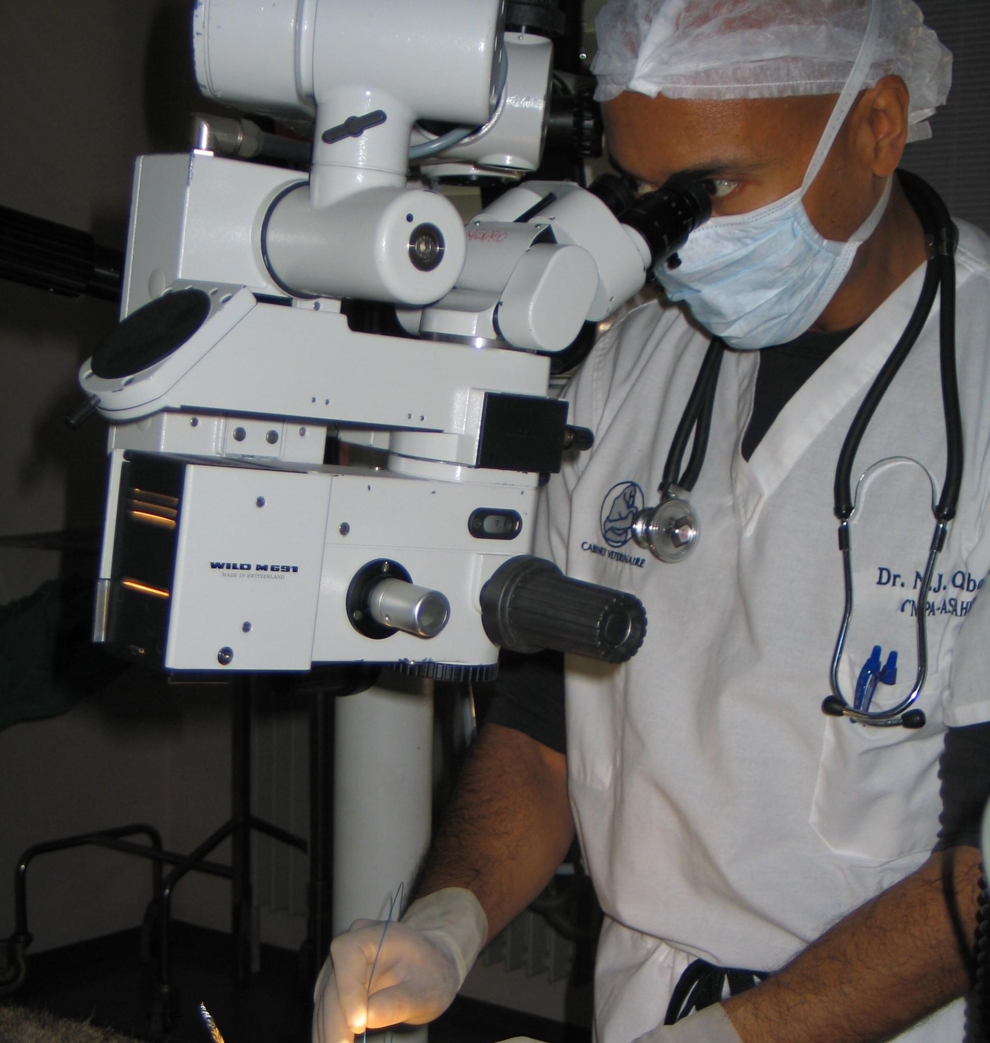  vétérinaire Mies, vétérinaire Genève, vétérinaire Nyon, vétérinaire Versoix, vétérinaire Commugny