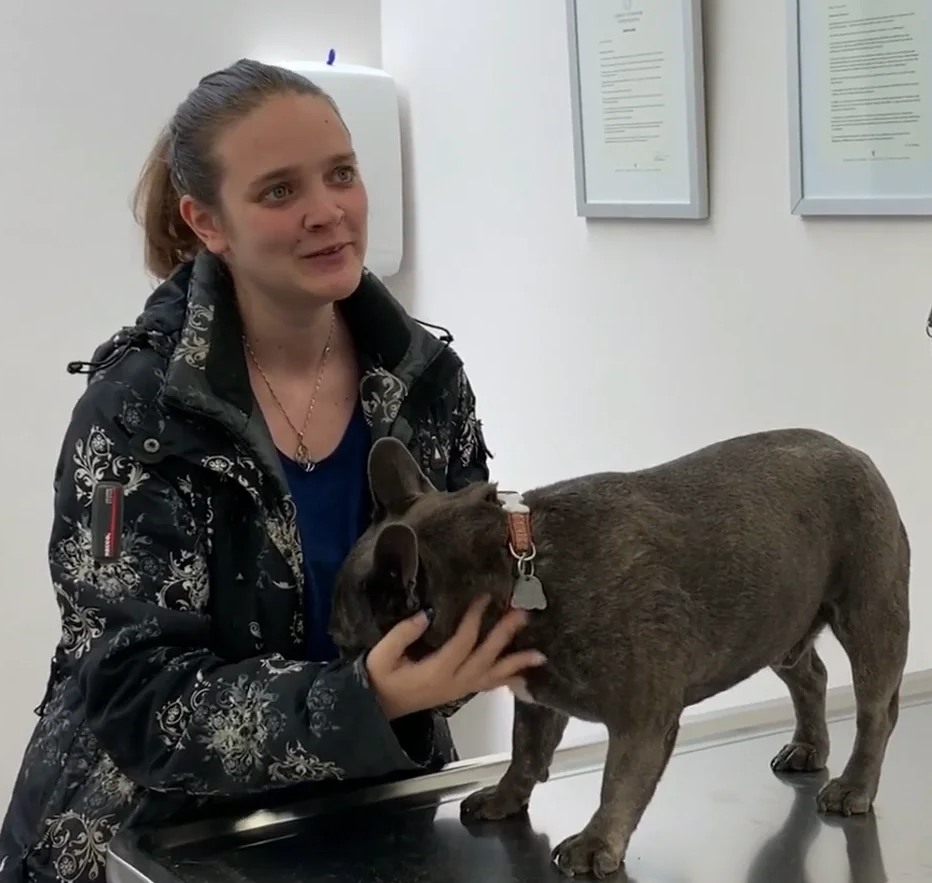 SOS Vétérinaire Genève, Urgences Vétérinaire Genève,Vétérinaire Genève, Vétérinaire de Garde Genève, Veterinaire de Garde Geneve, vétérinaire Versoix,  vétérinaire Rolle, vétérinaire Commugny, Vétérinaire urgence Nyon, vétérinaire crans près Céligny, vétérinaire Mies, Vétérinaire Nyon, vétérinaire Gland, vétérinaire Coppet, Vétérinaire de Garde Genève , Veterinaire de Garde Geneve, Vétérinaire de Garde Nyon, Vétérinaire de Garde Vaud, Vétérinaire de Garde Gland, Vétérinaire de Garde Morges, Animal Hospital Geneva, Geneva Animal Hospital, Difficulté à Uriner, Vétérinaire de Garde Lausanne ,apathie ou faiblesse chiens et chats