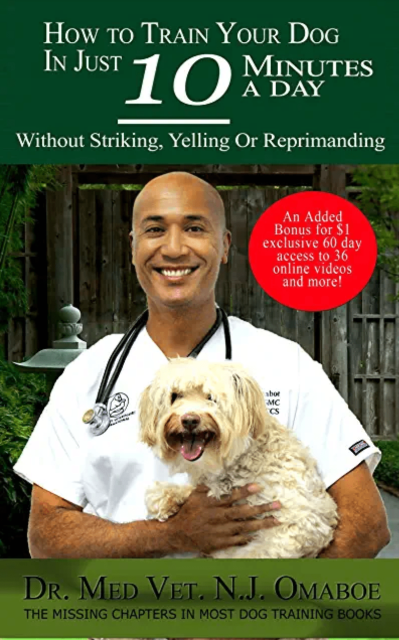  Cabinet Vétérinaire International, Geneva Veterinarian, veterinarian Geneva, book 4